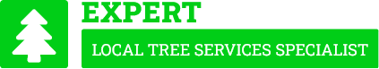 Hawkes Bay Tree Removal - Tree Removal Hawkes Bay